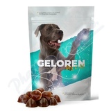 Geloren dog L-XL kloubn� v��iva 60ks �el�