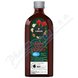 LEROS Sirup kouzeln Vnoce 250ml