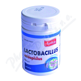 Apotheke Lactobacillus acidophilus tbl. 60